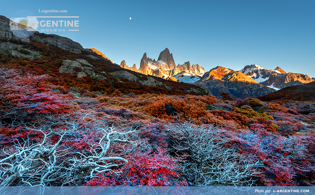 Mont Fitz Roy en Patagonie